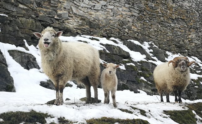 Easter at the Kašperk castle