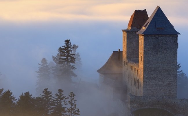 History of all senses