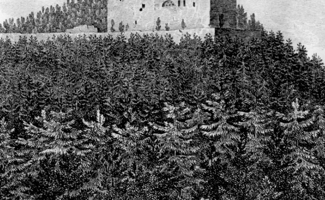 Historické fotografie