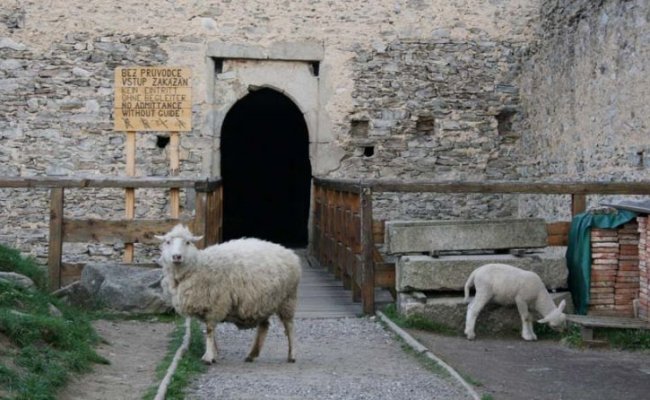 Ostern 2017 in der Burg Kašperk (Karlsberg)